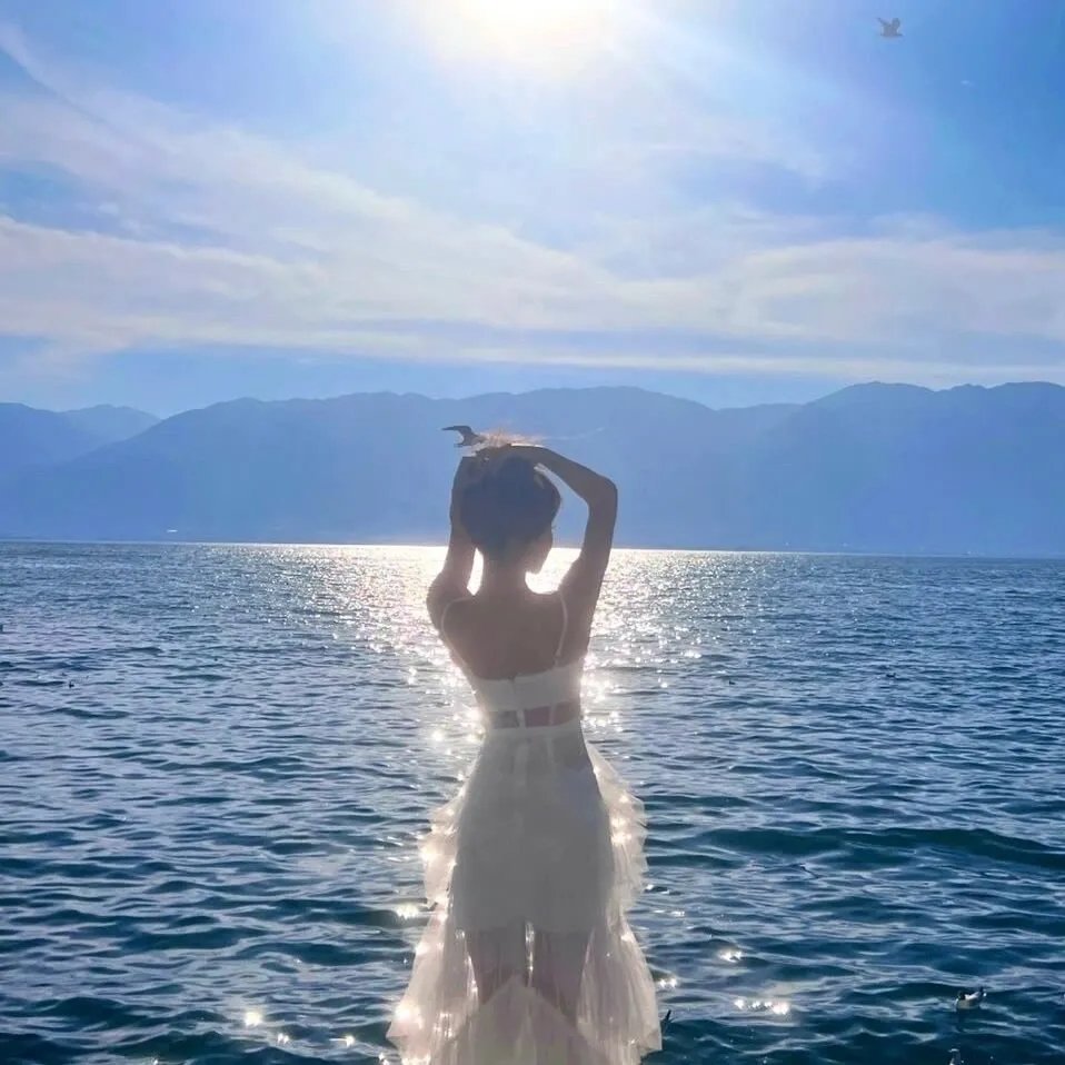 廿载风流梦